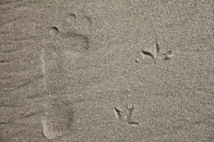 街角的修鞋師傅