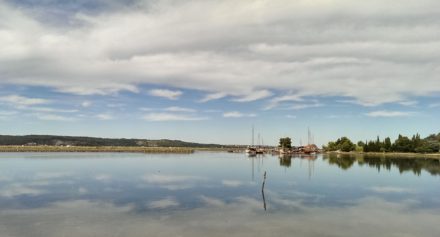 Beim Figaro in Slowenien